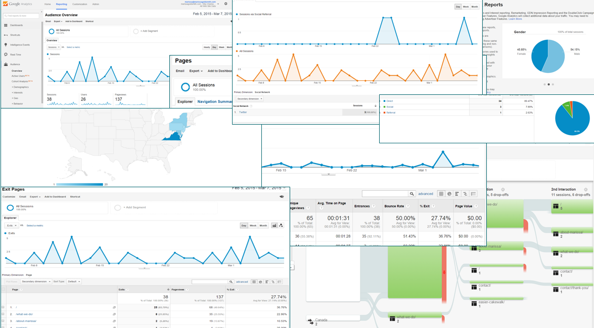 Screenshot of lots of different Google Analytics Reports.